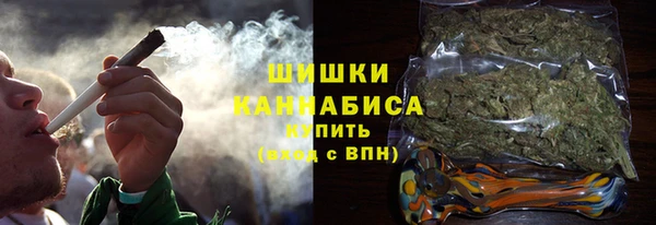 сатива Алзамай