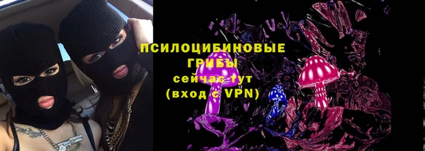 сатива Алексеевка