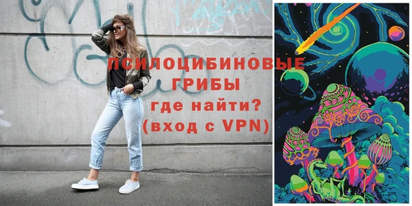 сатива Алексеевка