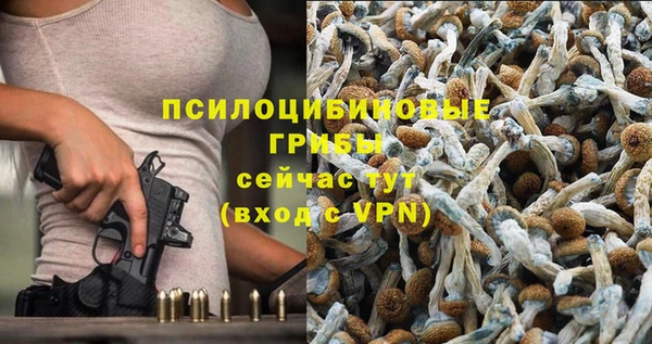 прущие крисы Алексин