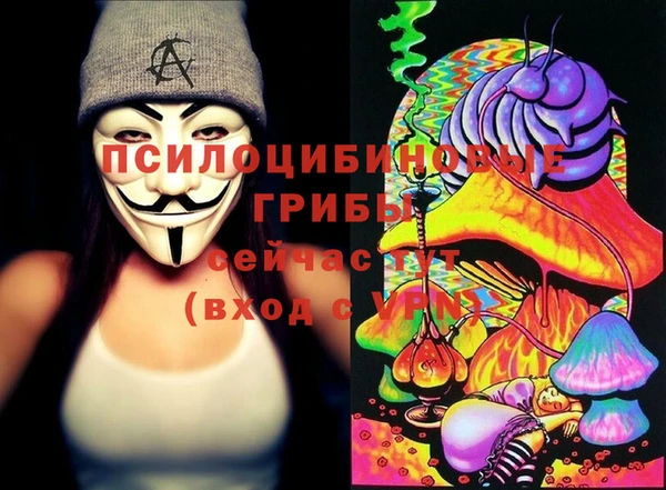 сатива Алзамай