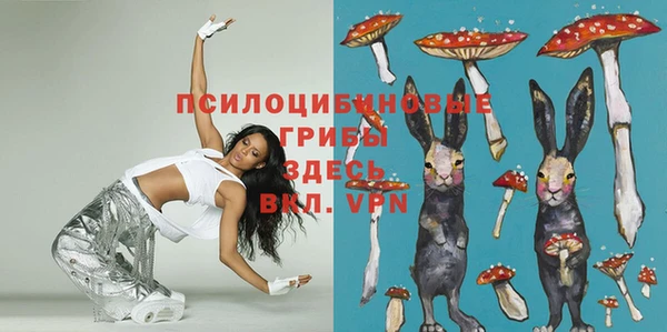 сатива Алексеевка