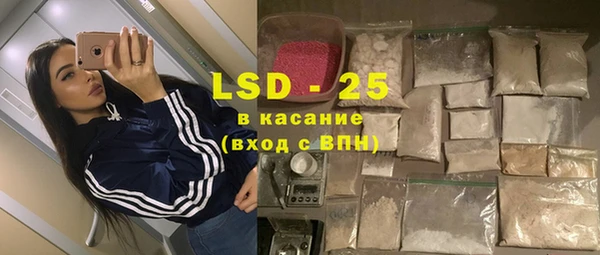 сатива Алзамай