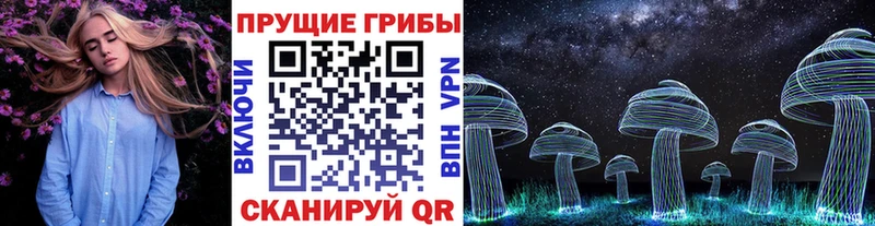 продажа наркотиков  Тосно  Галлюциногенные грибы прущие грибы 