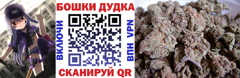 блэк спрут онион  Тосно  Шишки марихуана конопля 